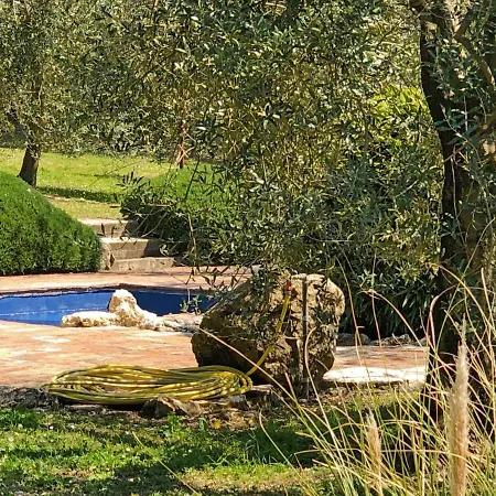 Hébergement de vacances Nest By Interhome Penna in Teverina